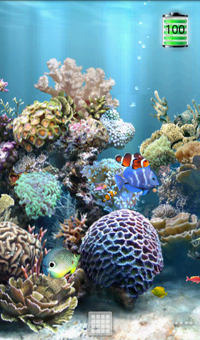 Android端末で熱帯魚が飼える Anipet海洋水族館ライブ壁紙