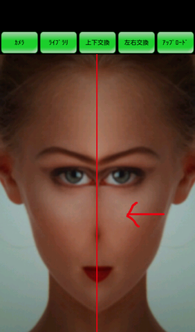 Androidアプリ 自分の顔を左右対称にしたら思いもよらない顔に 半面ミラー 週刊アスキー